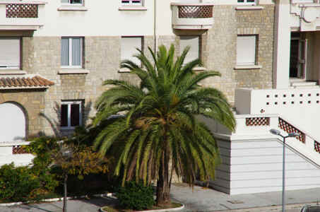 Toulon20129.JPG (144309 octets)