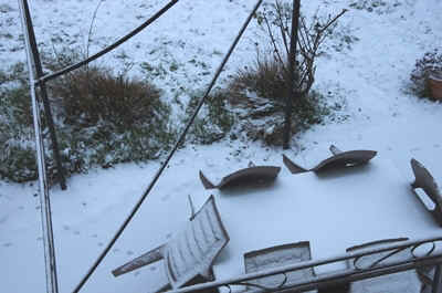 neige2026-11.JPG (160118 octets)