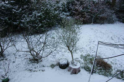 neige2026-9.JPG (181773 octets)