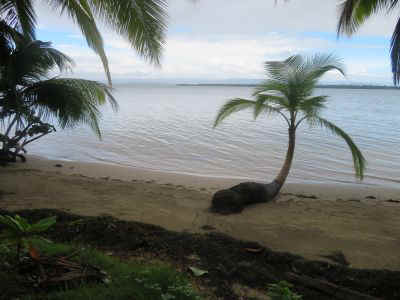 2025-panama-110.JPG (24289 octets)