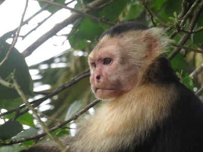 2025-panama-114.JPG (22362 octets)