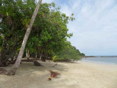 2025-panama-127.JPG (24469 octets)