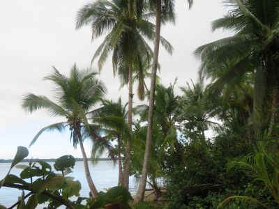 2025-panama-146.JPG (30012 octets)