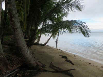 2025-panama-147.JPG (24279 octets)