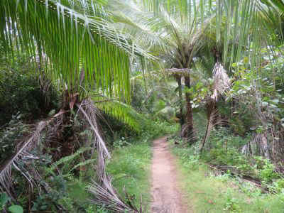 2025-panama-148.JPG (42225 octets)