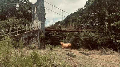 2025-panama-5.jpg (33330 octets)