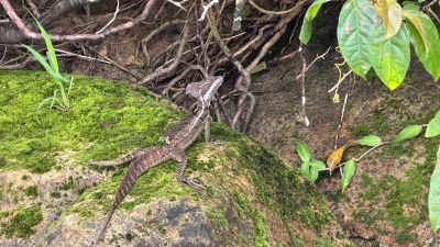 2025-panama-53.jpg (36931 octets)