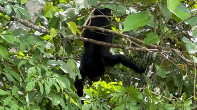 2025-panama-54.jpg (35385 octets)