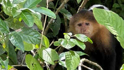 2025-panama-55.jpg (27661 octets)