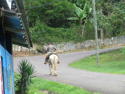 2025-panama-75.JPG (33220 octets)
