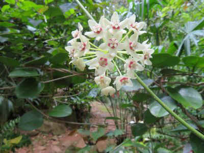 2025-panama-86.JPG (31531 octets)