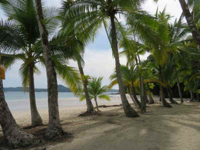2025-panama-92.JPG (31491 octets)