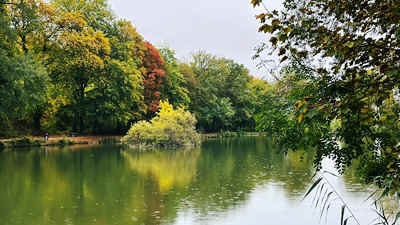 Automne2026-1.JPEG (62917 octets)