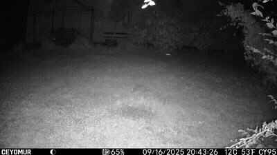 Camera-A-2025-7-PH-Herisson.JPG (15551 octets)