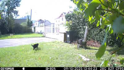 Camera-A-2025-9-PH-Chat.JPG (25979 octets)