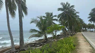 SanAndres2025-26.jpg (24670 octets)