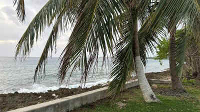 SanAndres2025-38.jpg (33159 octets)